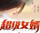 入赘豪婿韩三千